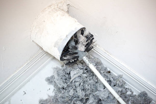 Best Air Duct Cleaning Near Me  in Shepherdstown, WV