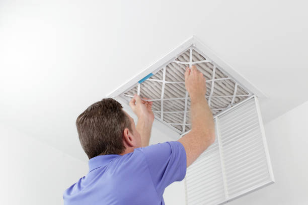 Air Duct Mold Removal in Shepherdstown, WV